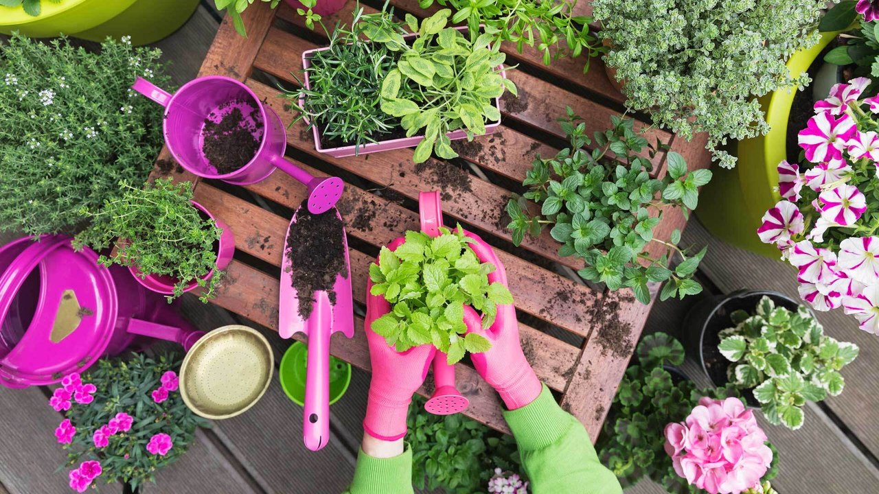 Balkonblumen: Die schönsten Pflanzen für Terrasse und Balkon