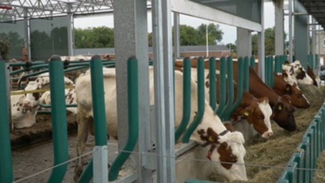 Primeros paros y alarma en la cadena alimentaria por la huelga de transportes