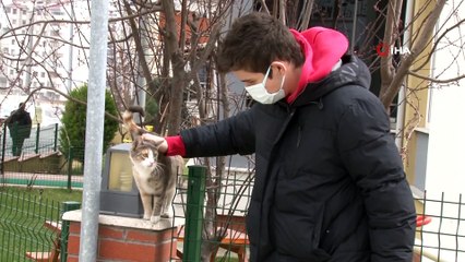 Edirne'de bu kadar da olmaz dedirten vicdansızlık: O anlar kamerada