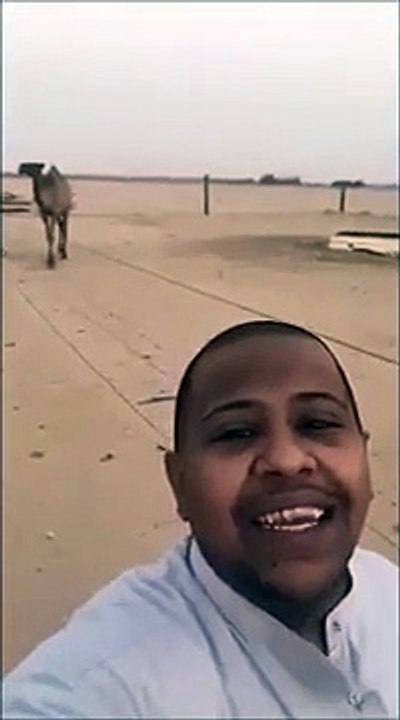 He plays with his camel and she plays with him