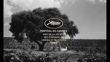 Les Oliviers de la justice