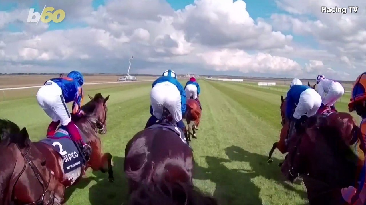 These Racehorses Are Getting a Second Career