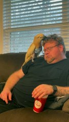 Cockatoo Entertains His Humans