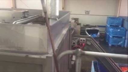 The Advocate_Inside the Harvest Moon carrot factory