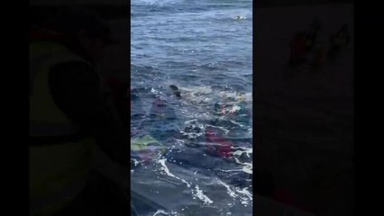 Petuna Strahan Whale Rescue 2020