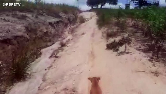 ESTRADAS DE PEDRAS DE FOGO ESTÃO UM DESGRAÇA