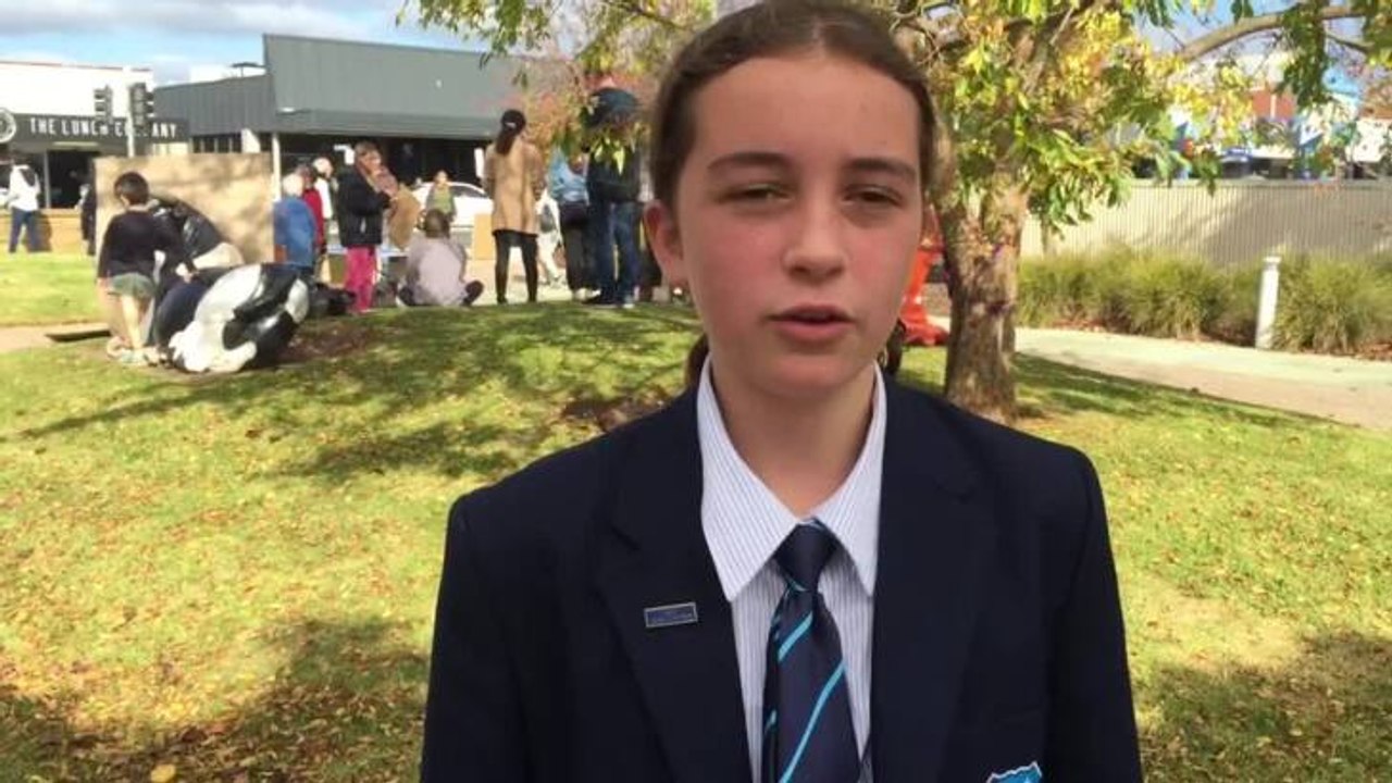 School Strike 4 Climate Wynyard