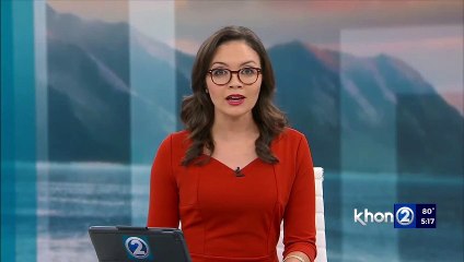 Police to have St. Patrick's Day sobriety checkpoints