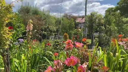 Wynyard's Award-Winning Garden 🌸