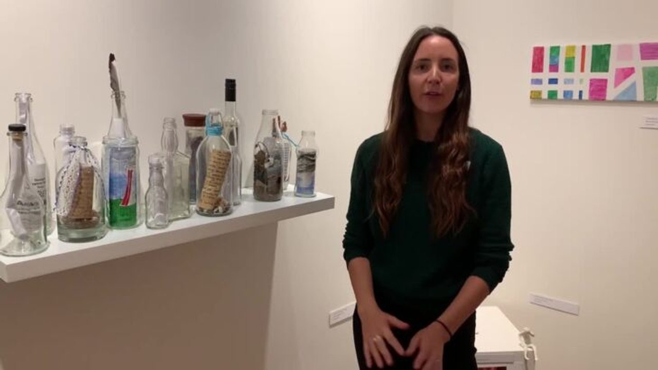 Devonport Art Gallery tour