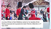 Kate Middleton impeccable en émeraude : tendre moment de complicité... avec un chien déguisé !