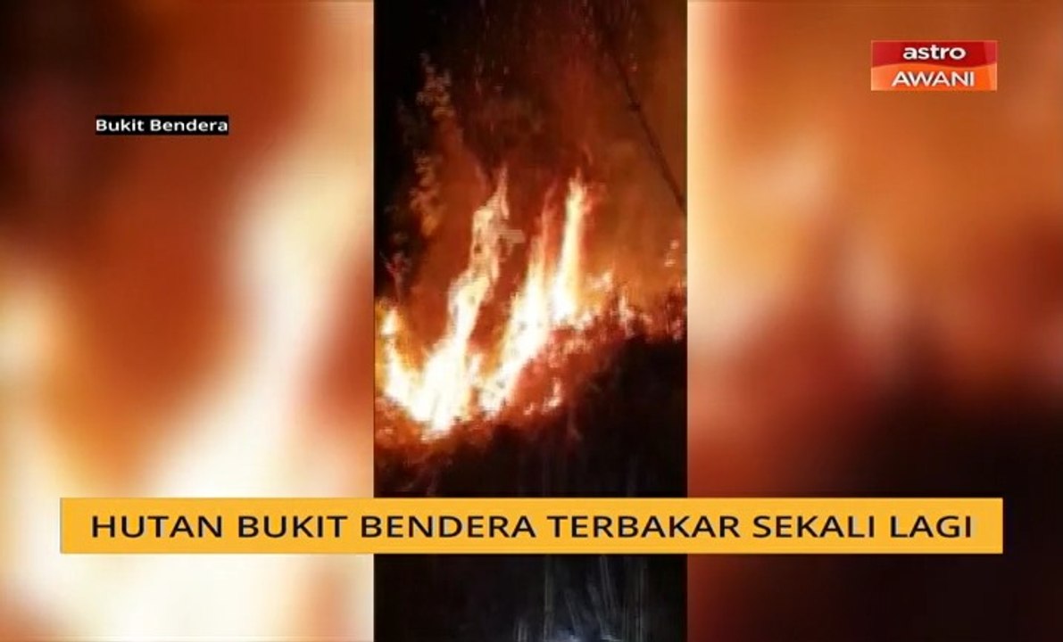 Hutan Bukit Bendera terbakar sekali lagi