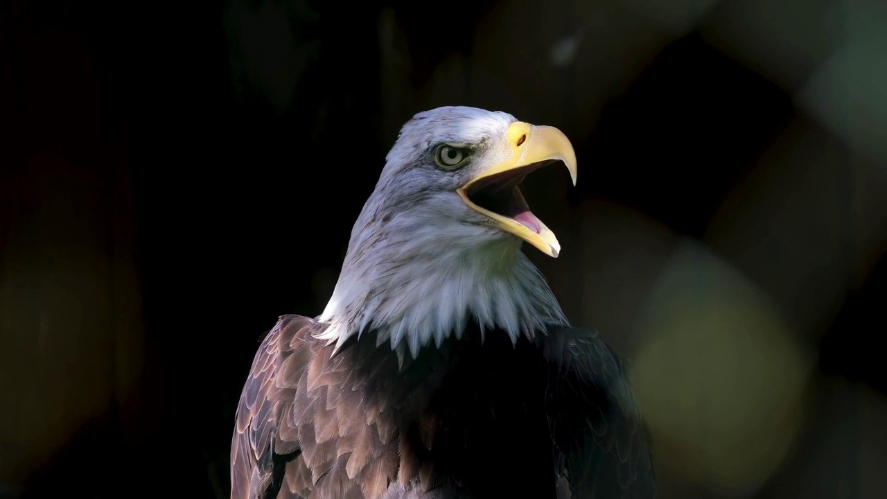 DVRST-Close Eyes⚡I 6 Fingers + Gyroscope I PUBG/BGMI MOBILE MONTAGE