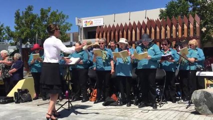 Remembrance Day 2018 Batemans Bay 2