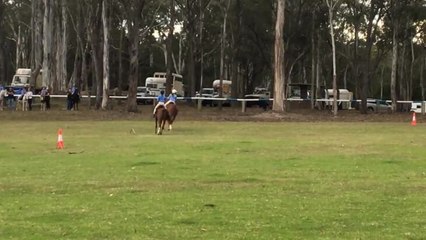 Bay Post: Moruya Pony Club 60th anniversary