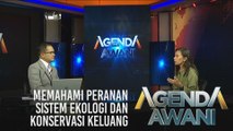 Agenda AWANI: Memahami peranan sistem ekologi dan konservasi keluang