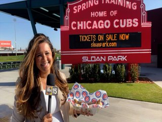 BIG BEERS AND BIG HOT DOGS! Cubs 2022 Spring Training Menu - Appetite AZ