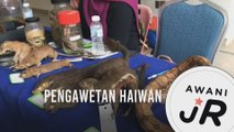 #AWANIJr: Pengawetan haiwan