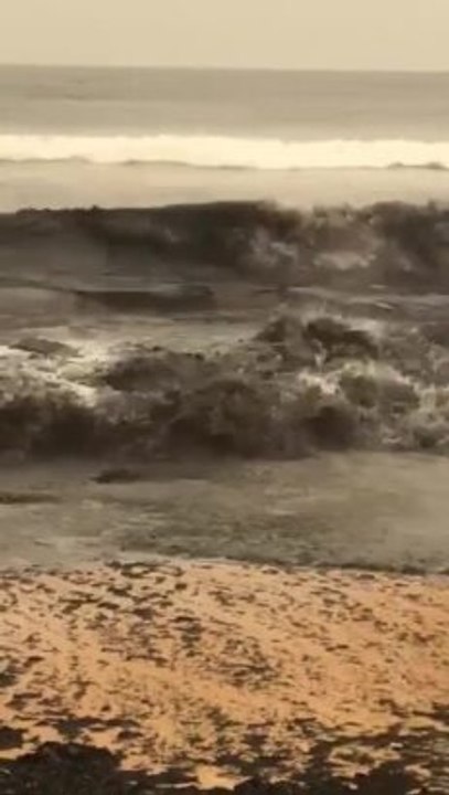 Tathra Beach bushfire ash Jan 1 2020 - Stefanie de Bruijn