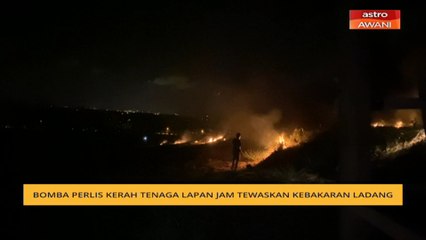 Bomba Perlis kerah tenaga lapan jam tewaskan kebakaran ladang