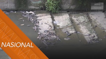 Penduduk resah, sungai busuk dan ikan mati