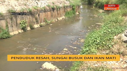 Bau busuk di Sungai Masjid Tanah, gugat aktiviti penduduk