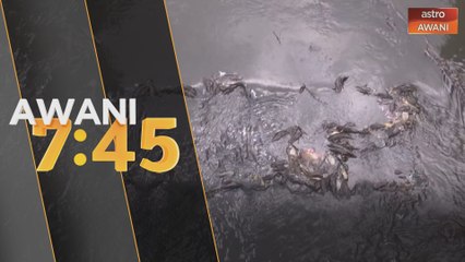 Kolam ikan keli punca pencemaran sungai Masjid Tanah