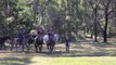 ILLAWARRA MERCURY Keira Pony Club pit pony memorial ride. Video: Greg Ellis.
