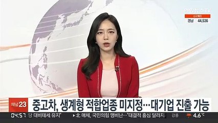 중고차, 생계형 적합업종 미지정…대기업 진출 가능
