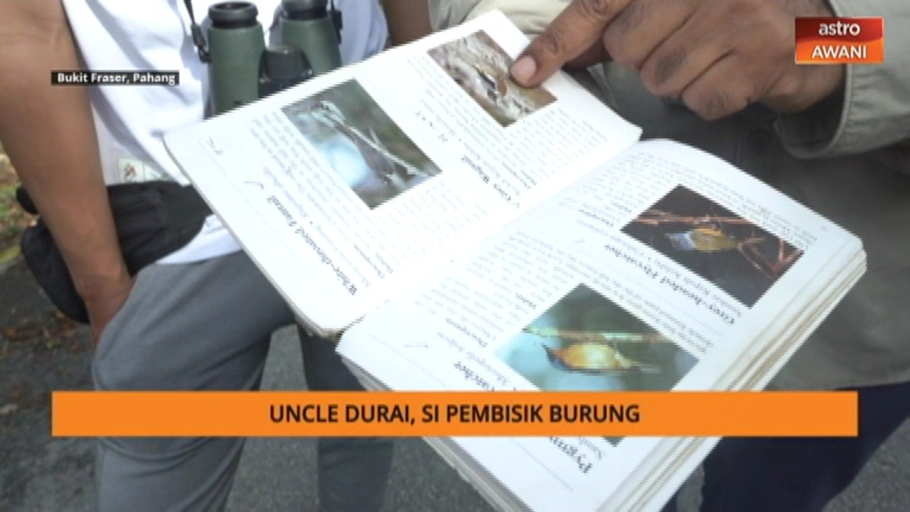 Bukit Fraser mempunyai 260 spesis burung