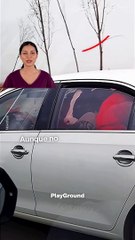 Vaca en el asiento trasero