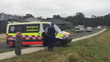 Illawarra Mercury: boy hit by car