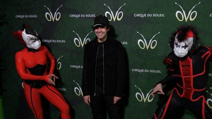 David Dobrik "Cirque du Soleil OVO" Los Angeles Premiere Red Carpet