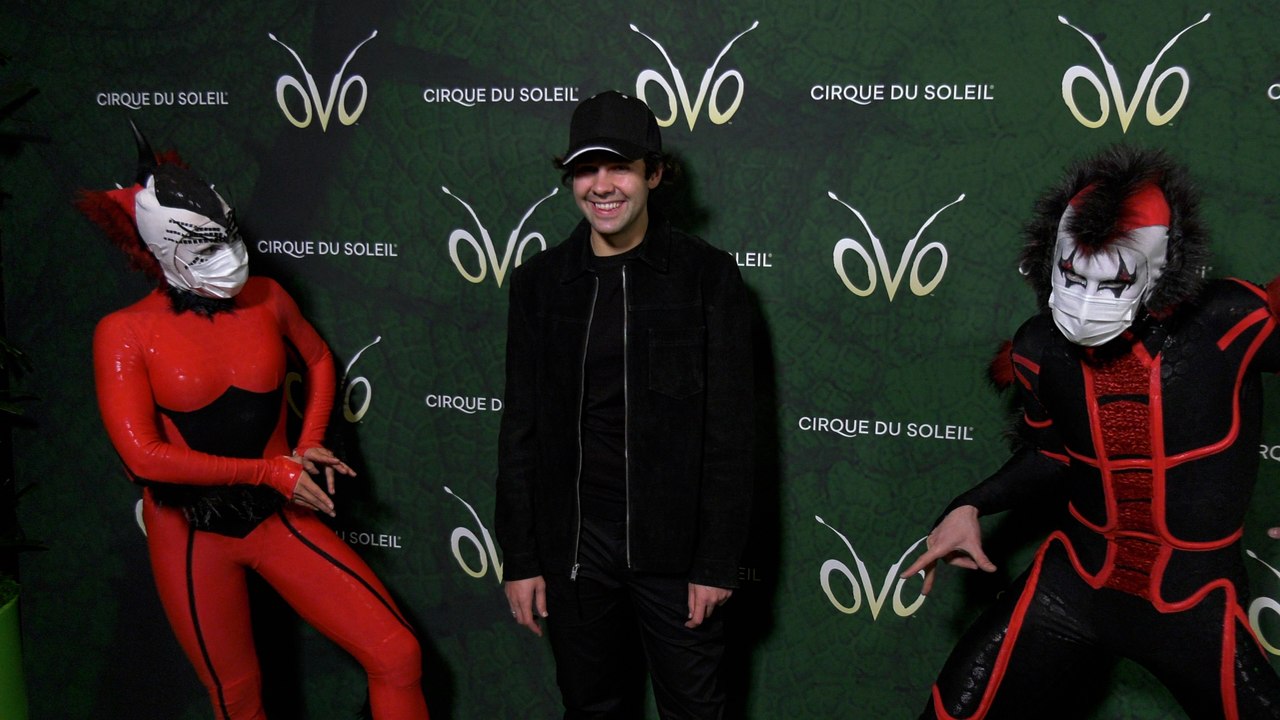 David Dobrik "Cirque du Soleil OVO" Los Angeles Premiere Red Carpet