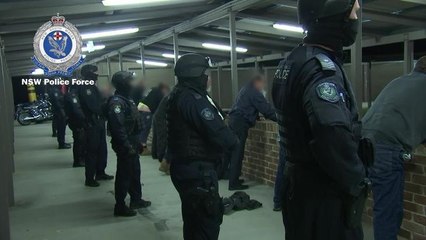 ILLAWARRA MERCURY Raptor South Fourth Reich