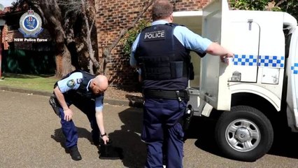 250919 Wollongong Sexual Assualt