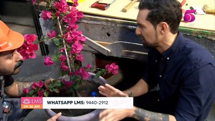 LM5 - 17 de Marzo, 2022