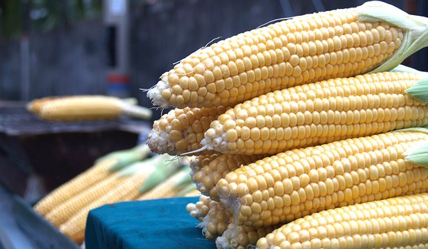 AWANI Pagi: Ladang jagung hab ekonomi baharu Kuala Pilah