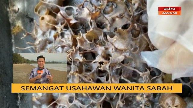Cerita Sebalik Berita: Cerita politik & semangat usahawan wanita Sabah