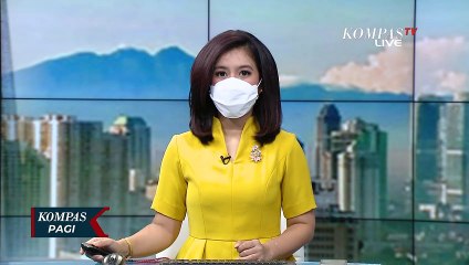 Fakta Kasus Narkoba DJ CD, Mengaku Rutin Gunakan Sabu 3 Kali dalam Sebulan