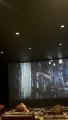 Murciélagos invadieron sala de cine en plena función de The Batman