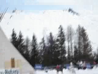 Championnat de France de ski joering 2008