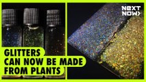 Glitters can now be made from plants | NEXT NOW