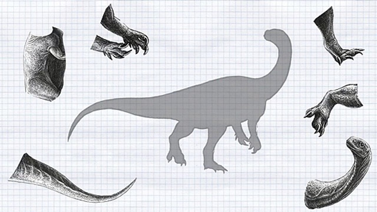 CUTE ANIMALS Dinosaurs Tethysgadros Jigsaw Puzzle 귀여운 동물 공룡 테티스가드로스 직소 퍼즐