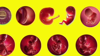 How baby Inside The Womb Gets Oxygen For Survival (in Hindi) | गर्भ में शिशु सांस कैसे लेता है