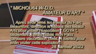 MICHOU64 W-D.D. AMATEUR D'ART - 28 JANVIER 2022 - PAU - VISITE LOUPÉE DE L'EXPOSITION GOYA DU MUSÉE DES BEAUX ARTS