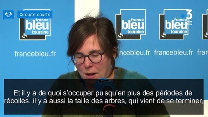 Circuits courts : Les Vergers de Taillé