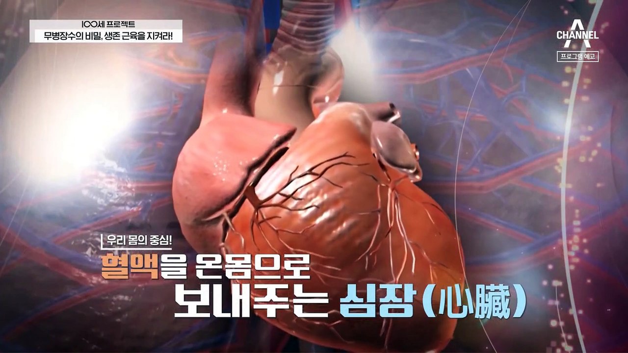 [예고] 100세 시대 건강 버팀목, 생존 근육을 지켜라!