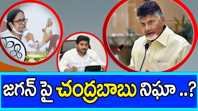 Pegasus: TDP, Chandrababu పై Mamata Banerjee సంచలనం YS Jagan పై నిఘా | Oneindia Telugu