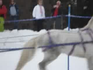 Championnat de France de ski joering 2008